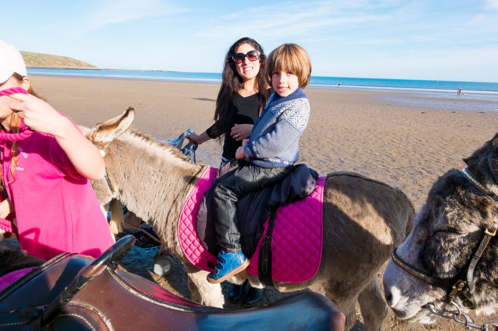 donkey rides-Honest Mum