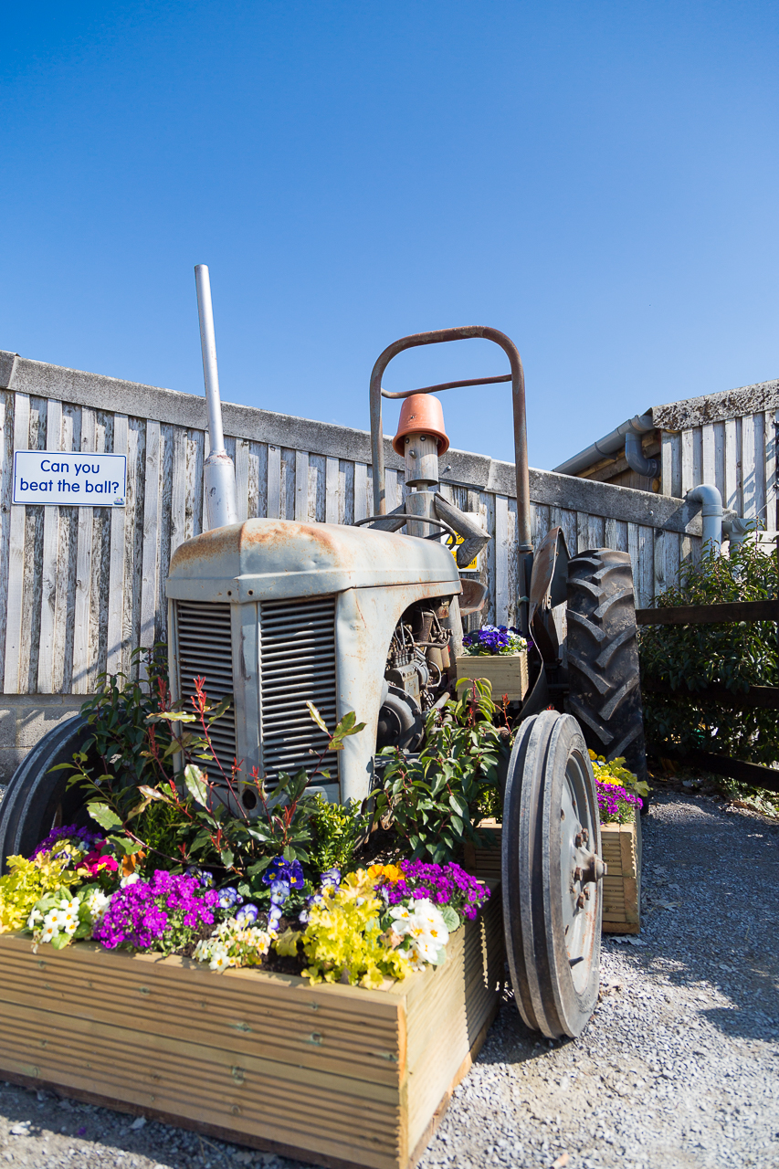 tractor and flower bed