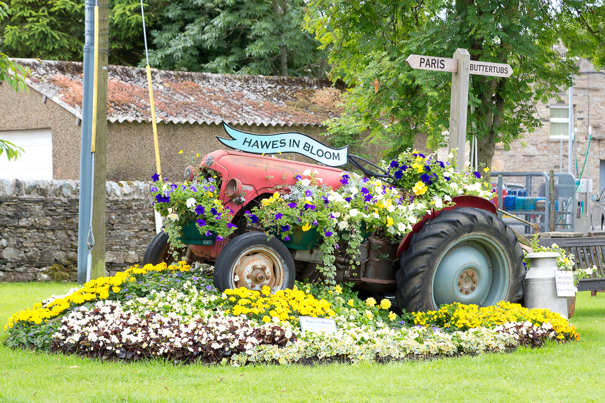 tractor with flowers