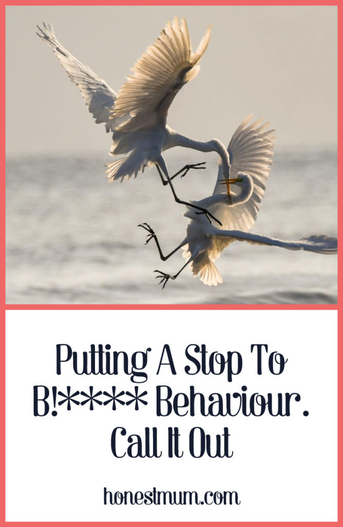 Putting a Stop to B!**** Behaviour. Call It Out - Honest Mum