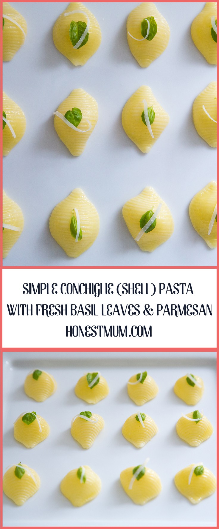 Simple Conchiglie (Shell) Pasta with Fresh Basil Leaves and Parmesan