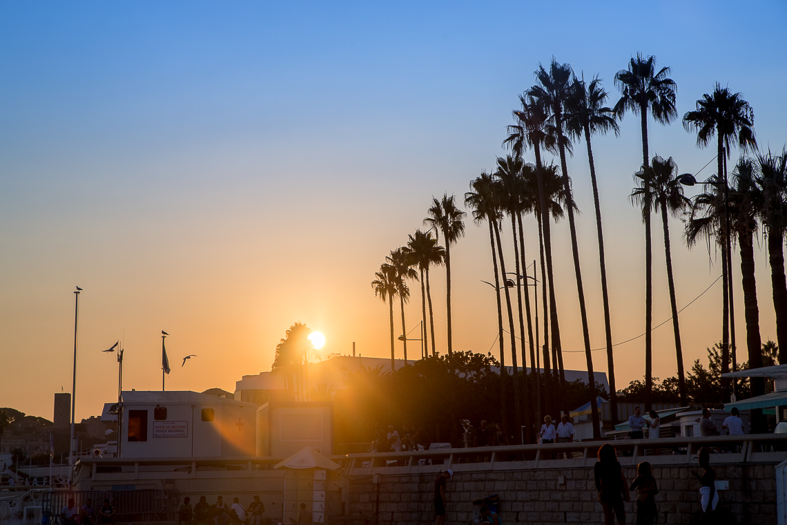 a skyline with palm trees as the sun sets