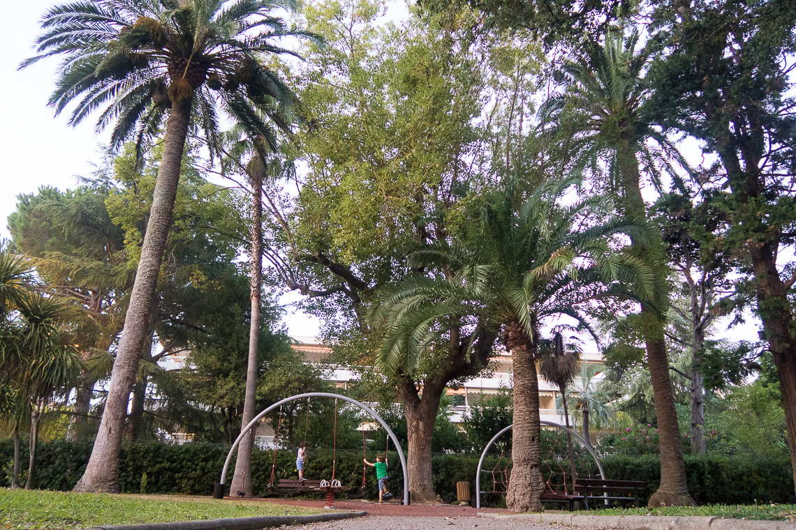 palm trees in a park in Cannes