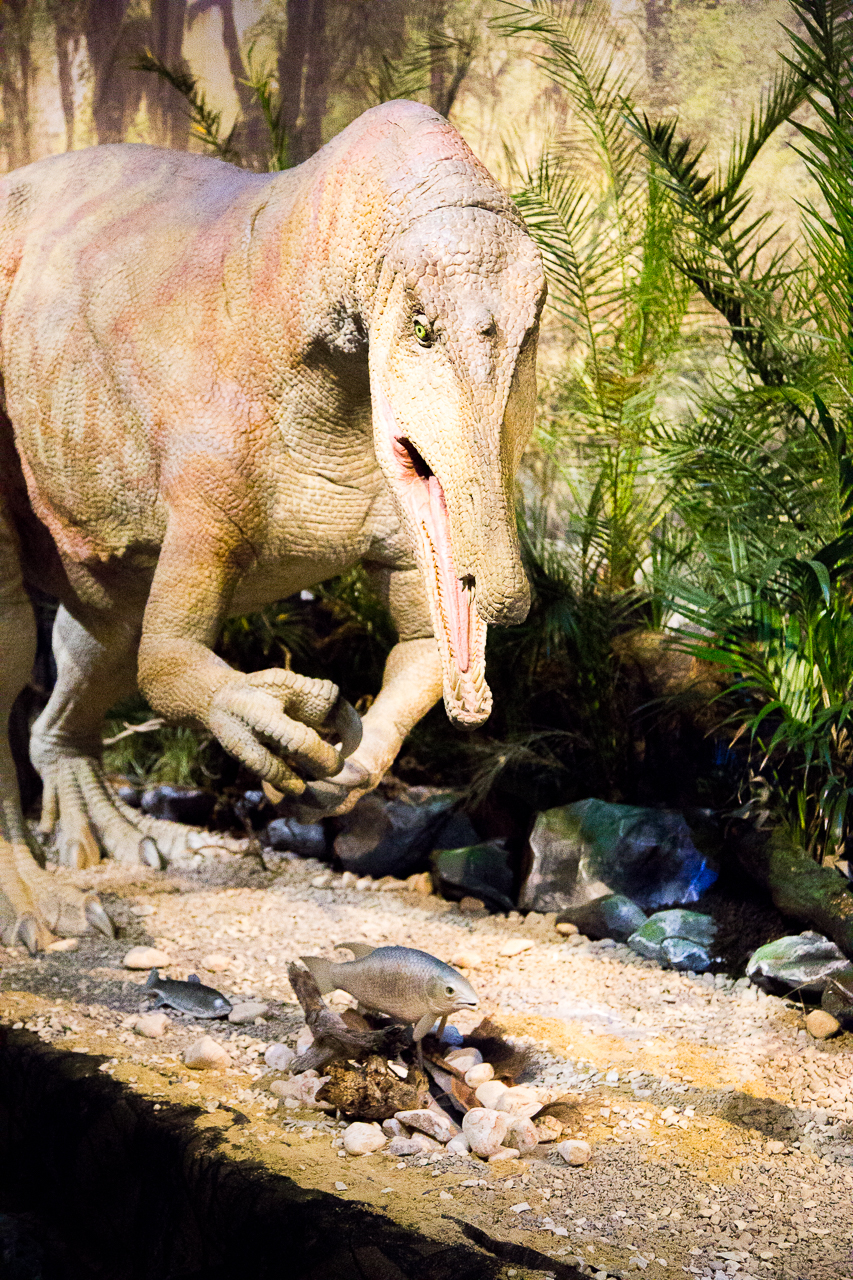 dinosaur exhibition, Newcastle