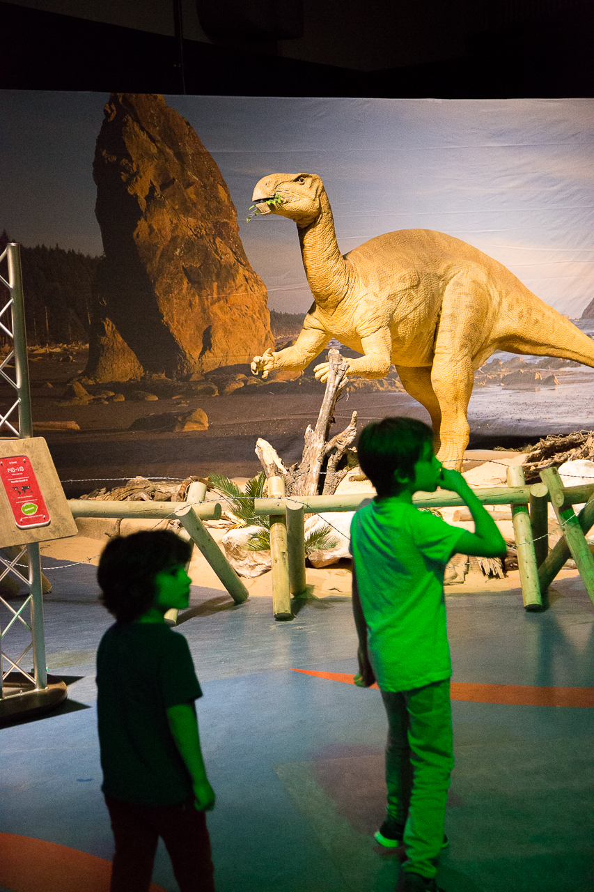 lifelike dinosaurs at the Dino exhibition