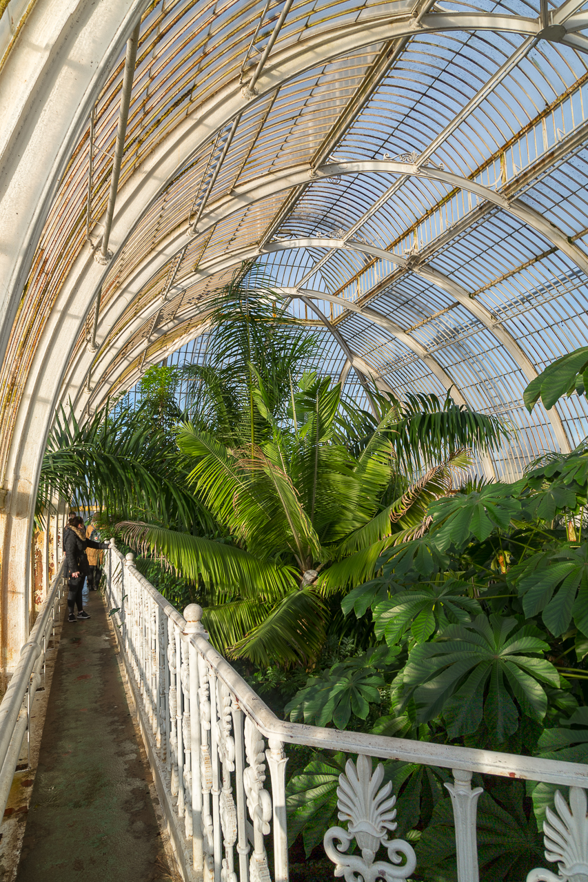 tropical Rainforest at Kew Gardens