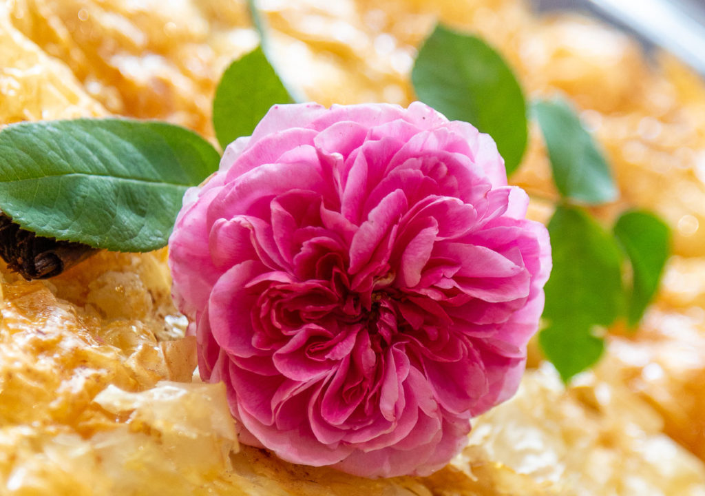 Auntie Loulla's Galaktopoureko (Greek Custard Tart) Recipe