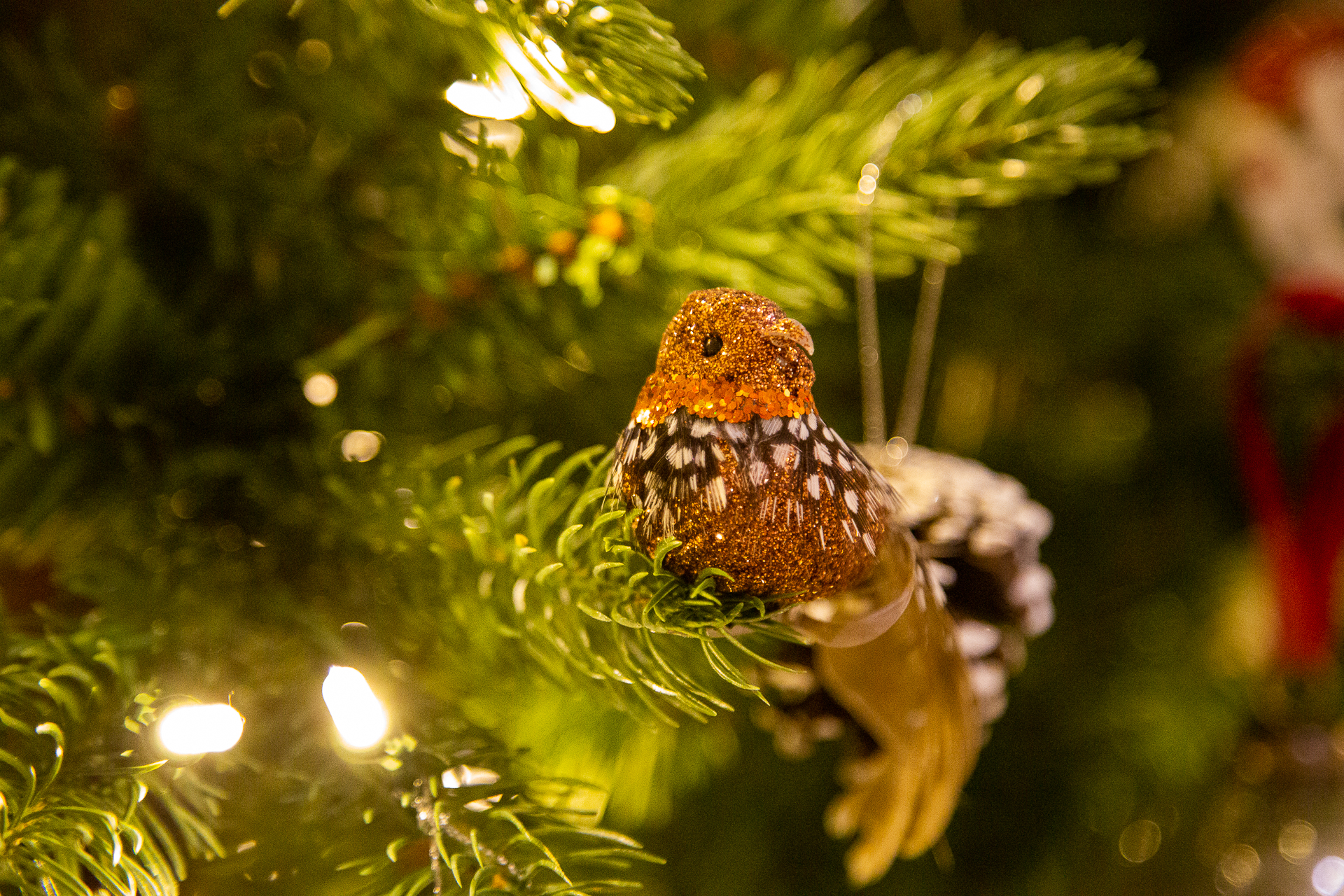 bird decoration on the Christmas tree