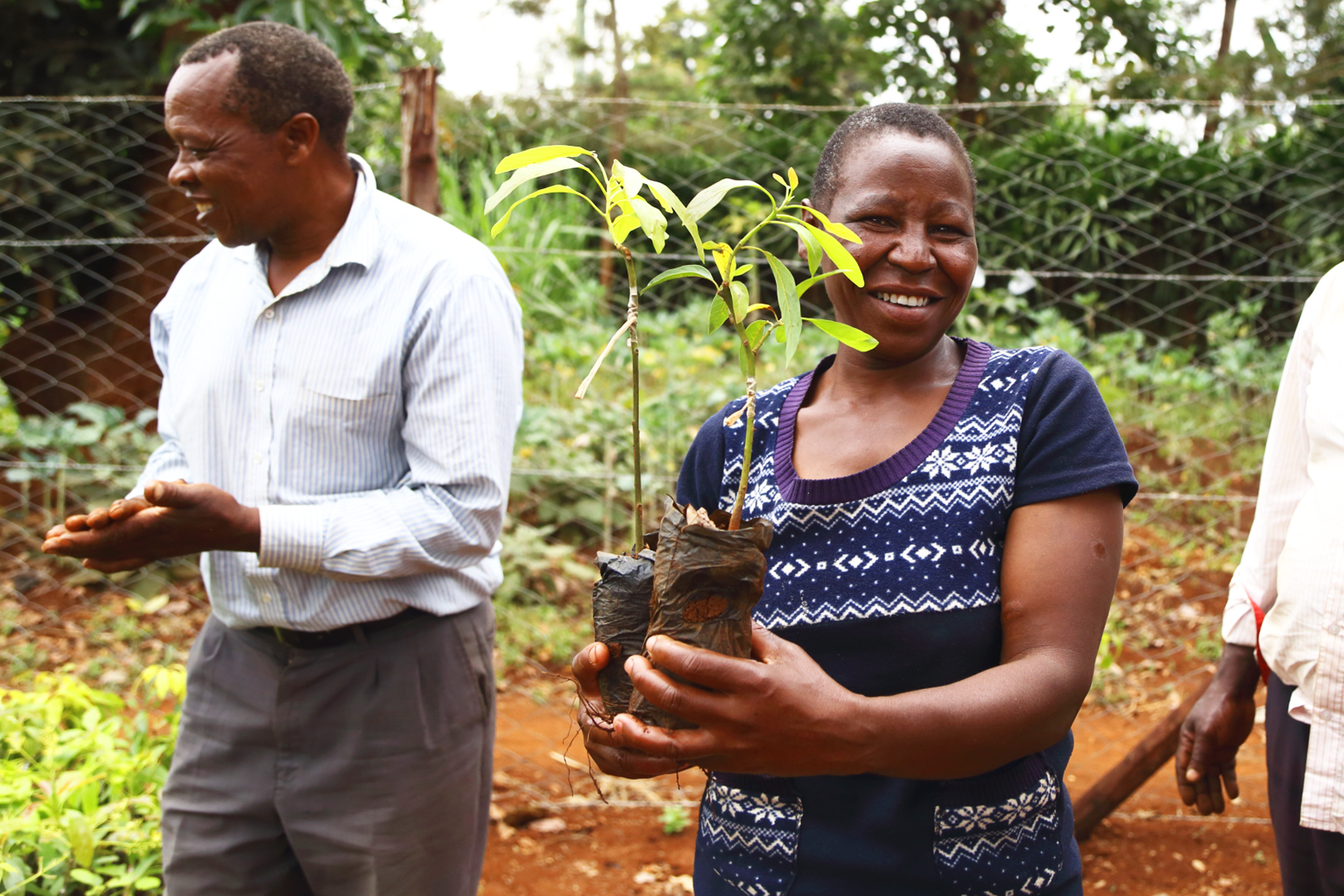 Kenya - a woman receiving two saplings from a Treedom tree nursery