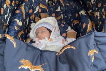 Cosatto pram