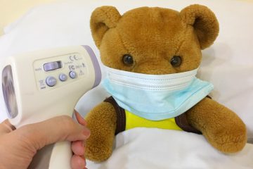 teddy