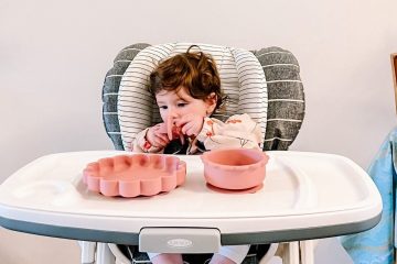 Graco high chair