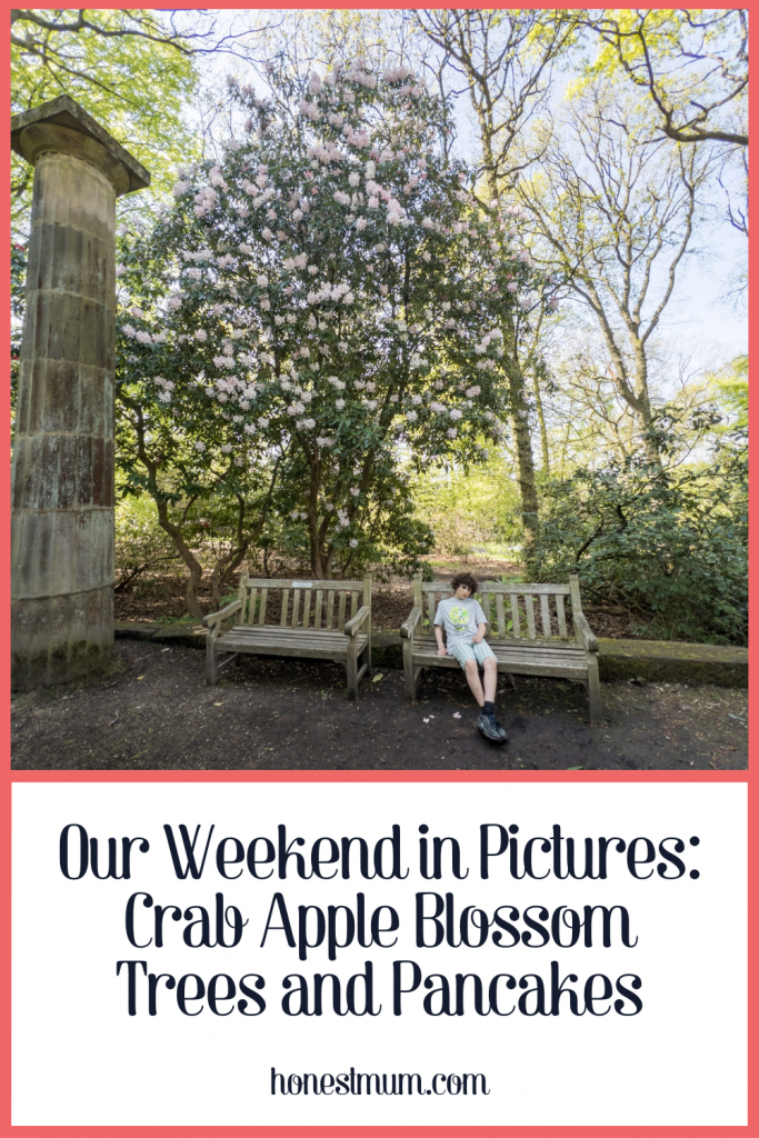 Our Weekend in Pictures: Crab Apple Blossom Trees and Pancakes 